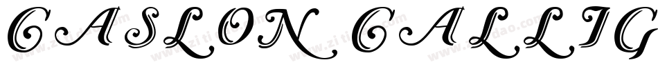Caslon Calligraphic Initials字体转换